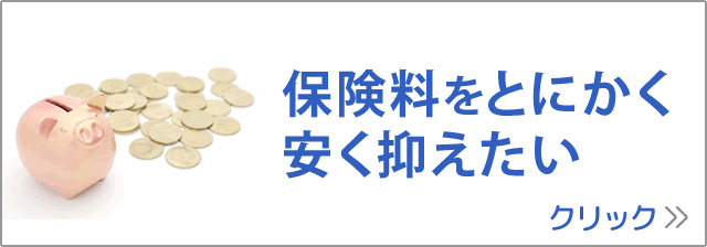 保険料をとにかく安く抑えたい